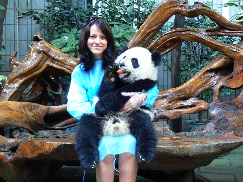 Pandas (006).jpg